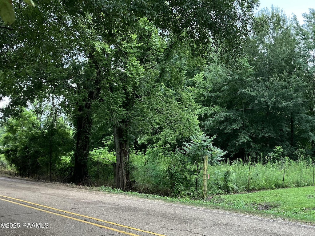 0 Bushville Hwy, Arnaudville, LA 70512 - photo 3