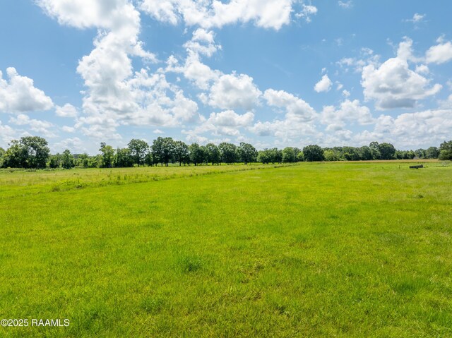 TBD Guillot Rd, Youngsville, LA 70592 - photo 3