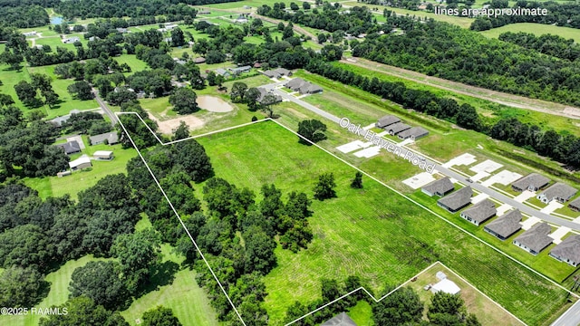 501 Maryview Farm Rd, Lafayette, LA 70507 - photo 7