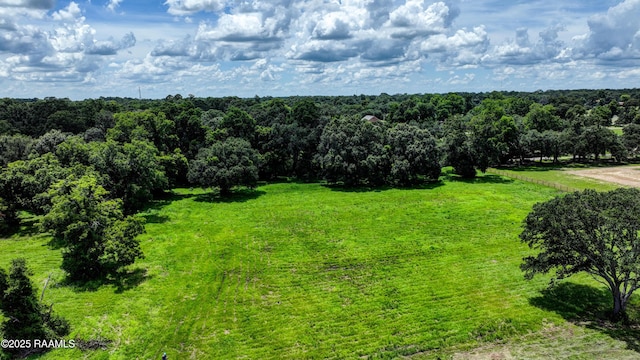 TBD Maryview Farm Rd, Lafayette, LA 70507