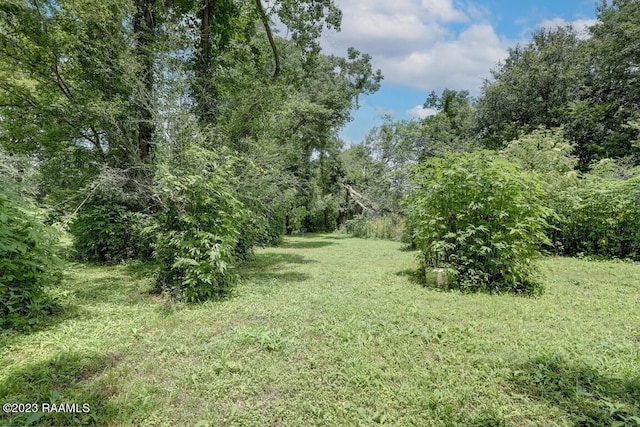 625 Bayou Tortue Rd, Broussard, LA 70518 - photo 22