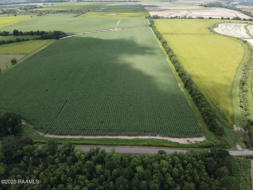 Dalton Rd, Kaplan, LA 70548