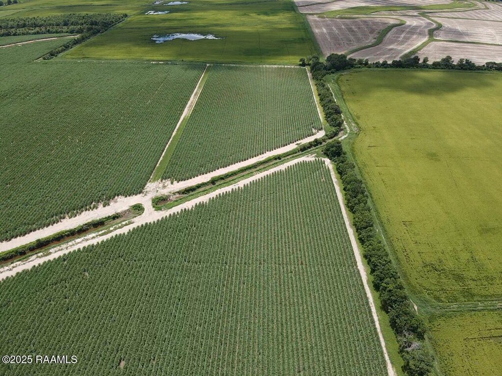Dalton Rd, Kaplan, LA 70548
