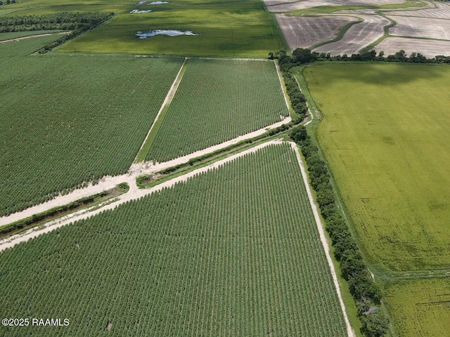 Dalton Rd, Kaplan, LA 70548
