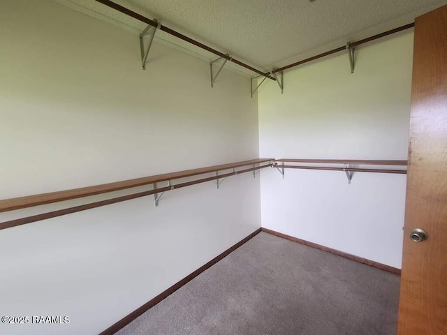 4702 Daspit Rd, New Iberia, LA 70563 - spacious closet with carpet