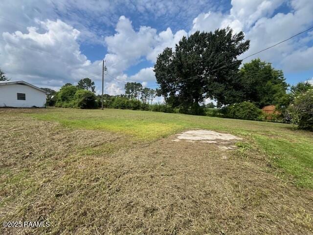 4702 Daspit Rd, New Iberia, LA 70563 - view of yard