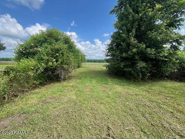 4702 Daspit Rd, New Iberia, LA 70563 - view of grassy yard with a view of rural / pastoral area