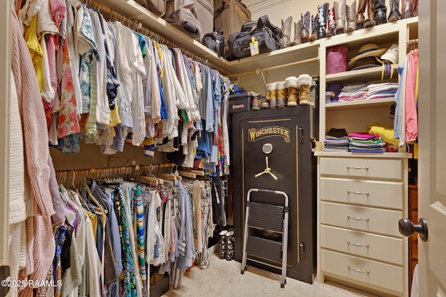 104 Littleton Xing, Lafayette, LA 70508 - spacious closet with carpet floors