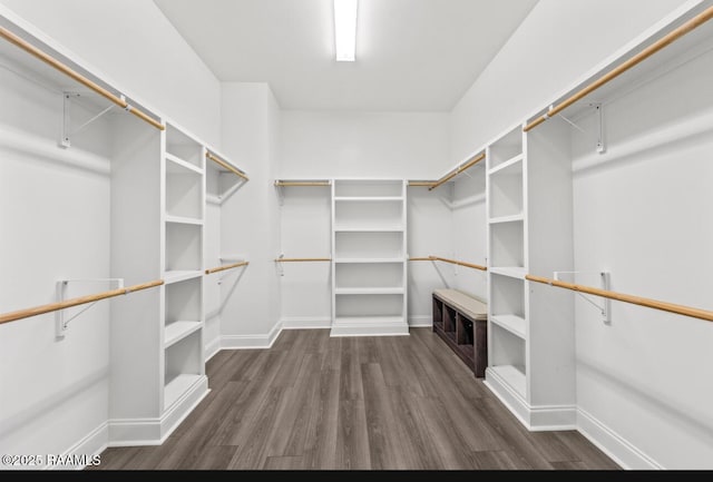 413 Easy Rock Landing Dr, Broussard, LA 70518 - spacious closet with dark wood-style floors