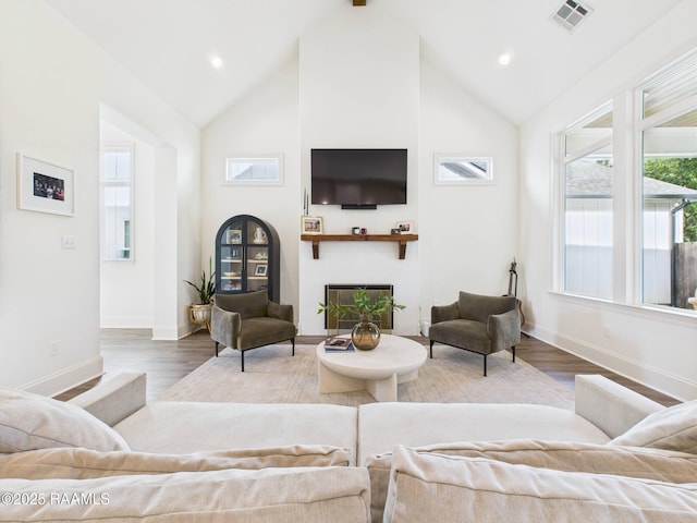 207 Timber Mill St, Lafayette, LA 70508 - living room featuring a glass covered fireplace, wood finished floors, high vaulted ceiling, and recessed lighting