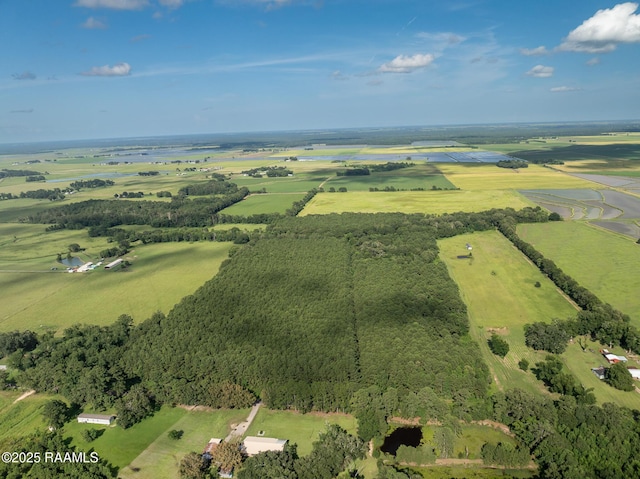 TBD Jolene Rd, Basile, LA 70515 - photo 4