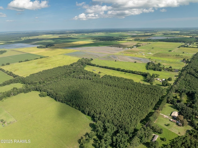 TBD Jolene Rd, Basile, LA 70515 - photo 7
