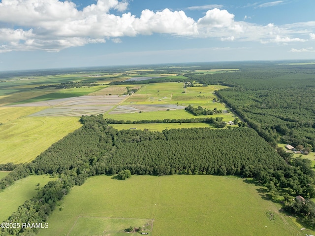TBD Jolene Rd, Basile, LA 70515 - photo 9