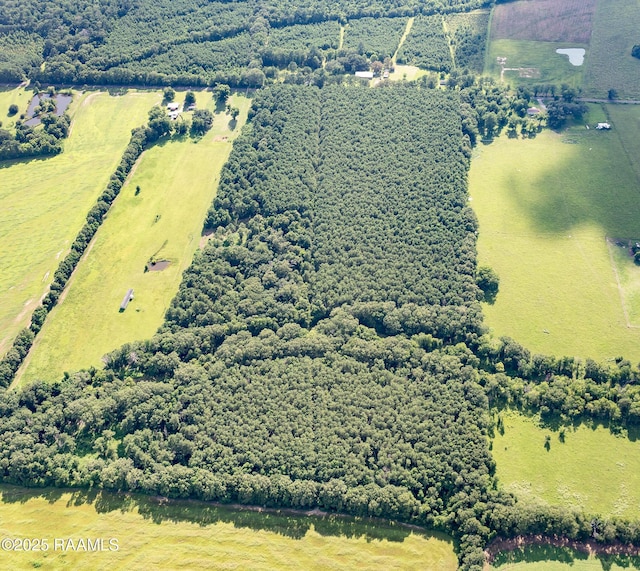 TBD Jolene Rd, Basile, LA 70515 - photo 14