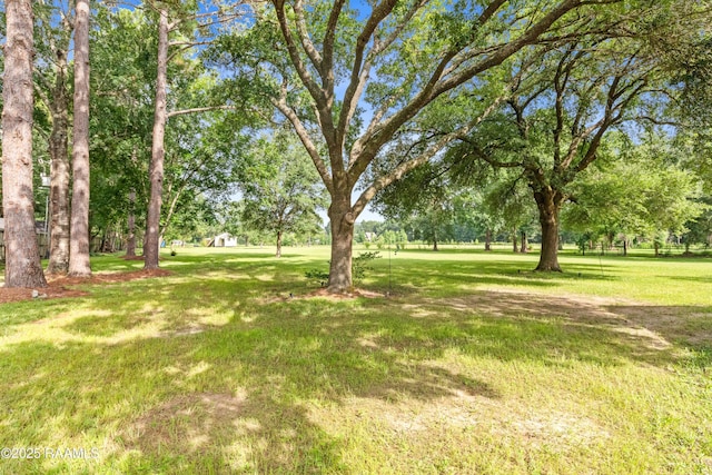253 Magellan Rd, Carencro, LA 70520 - photo 29