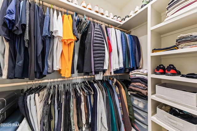 222 Alpine Dr, Lafayette, LA 70506 - view of spacious closet