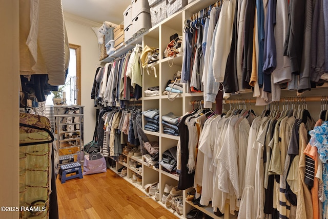 101 Enclave Ct, Lafayette, LA 70508 - spacious closet with wood finished floors
