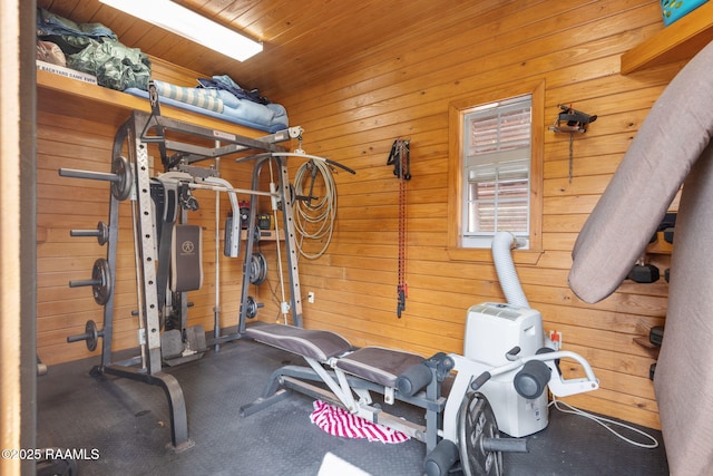 101 Enclave Ct, Lafayette, LA 70508 - exercise area featuring wooden walls