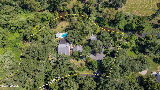 1112 Bayou Tortue Rd, Broussard, LA 70518 - photo 9