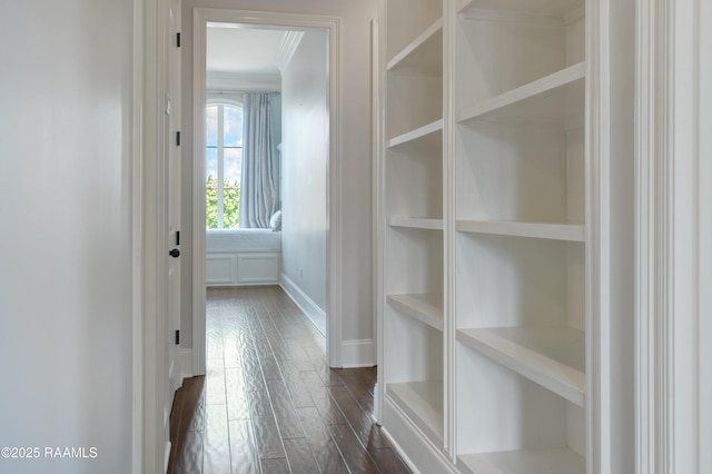 506 Terrell Ct, New Iberia, LA 70563 - hallway featuring dark wood-type flooring and ornamental molding