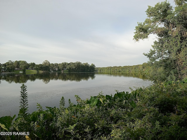 40 Hidden Hills Rd, Arnaudville, LA 70512 - water view featuring a forest