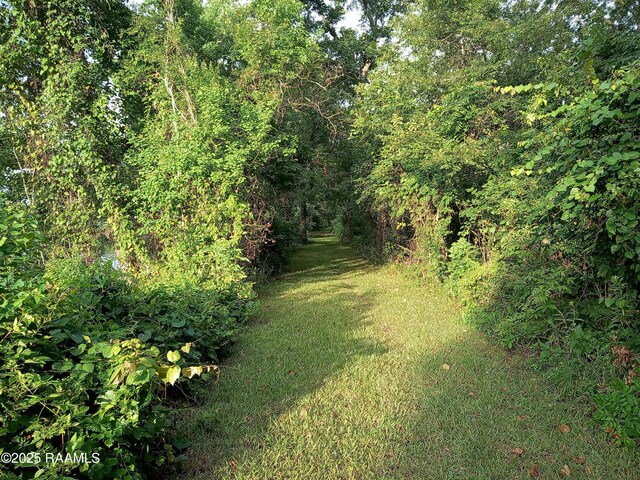40 Hidden Hills Rd, Arnaudville, LA 70512 - view of grassy yard featuring a wooded view