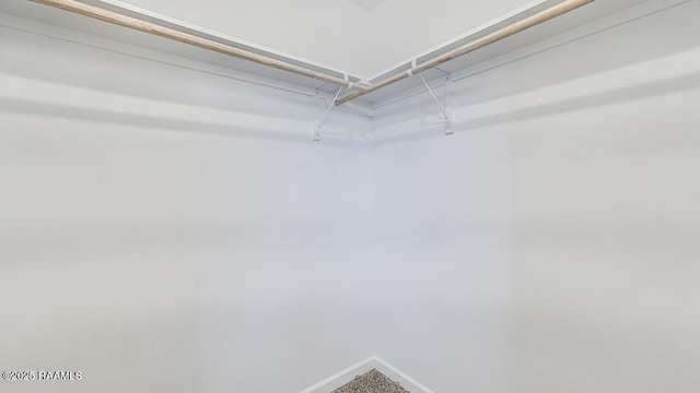 322 White Pine Dr, Lafayette, LA 70501 - view of spacious closet