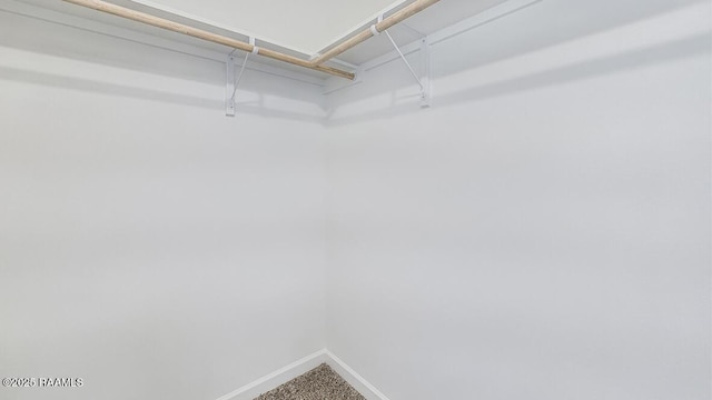 322 White Pine Dr, Lafayette, LA 70501 - walk in closet featuring carpet flooring