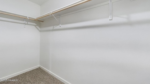322 White Pine Dr, Lafayette, LA 70501 - walk in closet with carpet