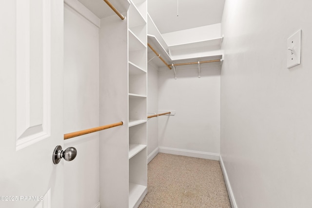 105 Clear Lake Dr, Lafayette, LA 70506 - walk in closet with carpet flooring