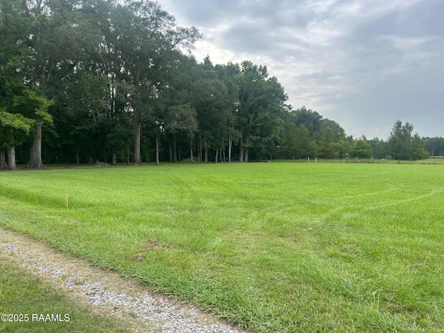 1304 Main Hwy Lot 54, Arnaudville, LA 70512