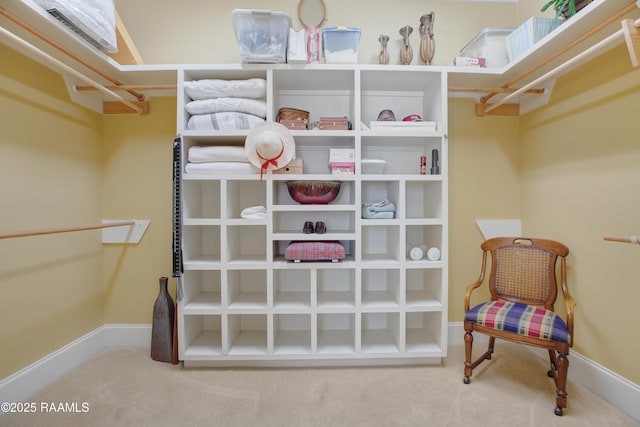 302 River Ranch Blvd, Lafayette, LA 70508 - spacious closet featuring carpet floors