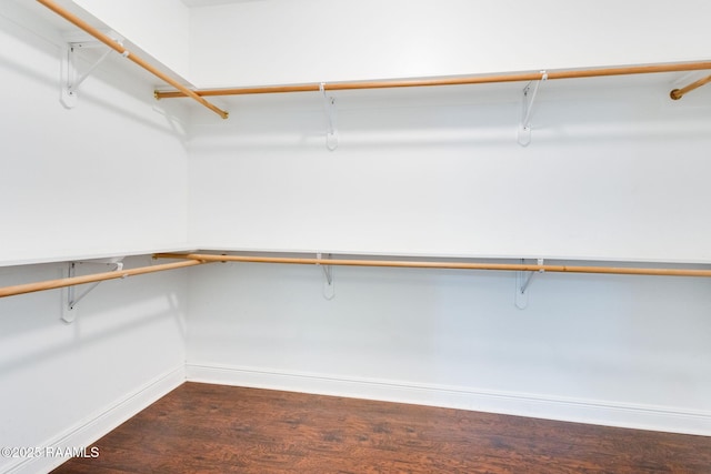 213 Hidden Ridge Dr, Lafayette, LA 70507 - walk in closet with dark wood-type flooring
