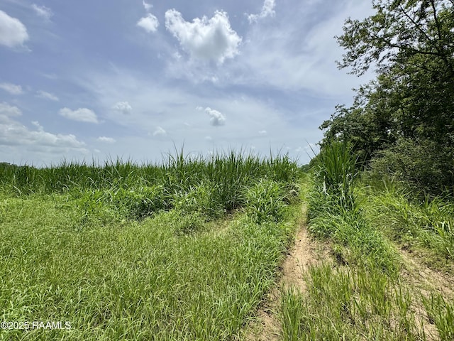 TBD Roosevelt Rd, Maurice, LA 70555