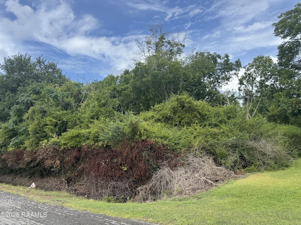 Wright Rd, Gueydan, LA 70542 - photo 2