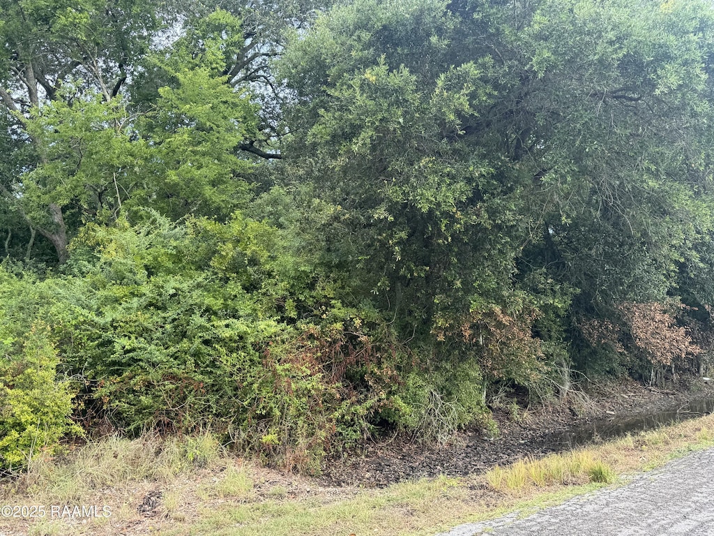 Wright Rd, Gueydan, LA 70542 - photo 3