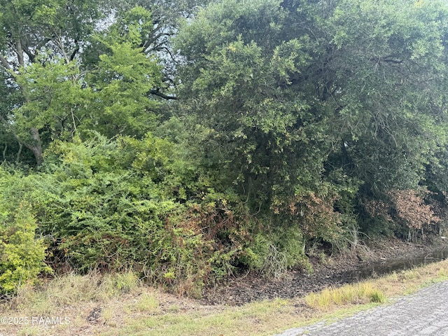 Wright Rd, Gueydan, LA 70542 - photo 3
