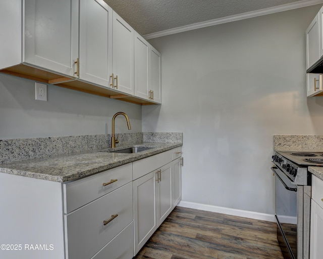807/809 E Vermilion St, Abbeville, LA 70510 - kitchen with black range with electric cooktop, dark wood-type flooring, ornamental molding, white cabinets, and light stone counters