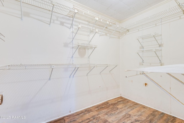 208 W Church St, Opelousas, LA 70570 - walk in closet featuring wood finished floors
