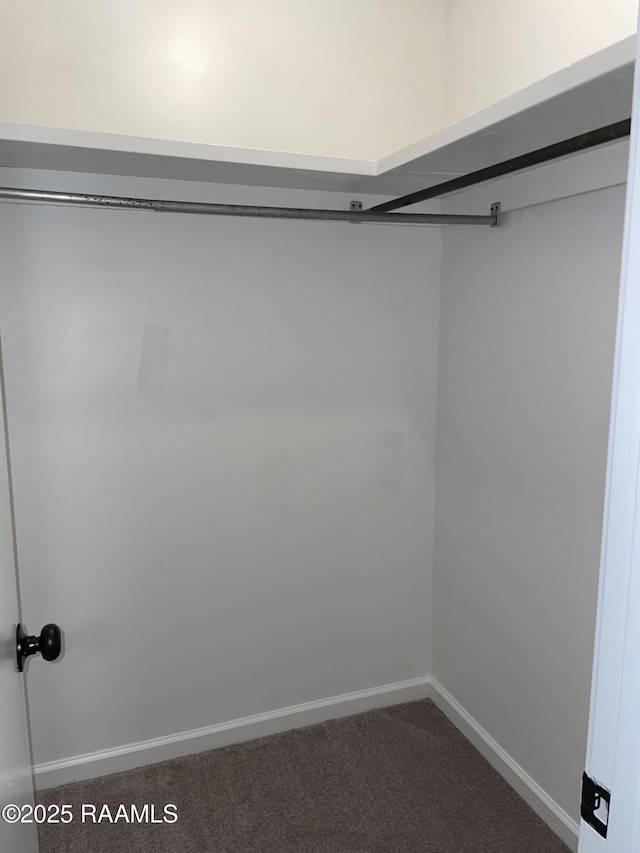 113 Earline Dr, Lafayette, LA 70506 - walk in closet featuring dark carpet
