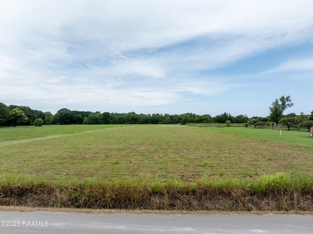 501 Braquet Rd, Carencro, LA 70520 - photo 1