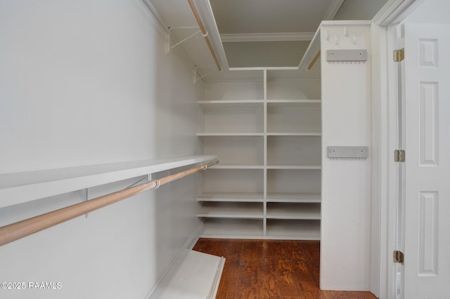 810 Fenetre Rd, Scott, LA 70583 - walk in closet with wood finished floors