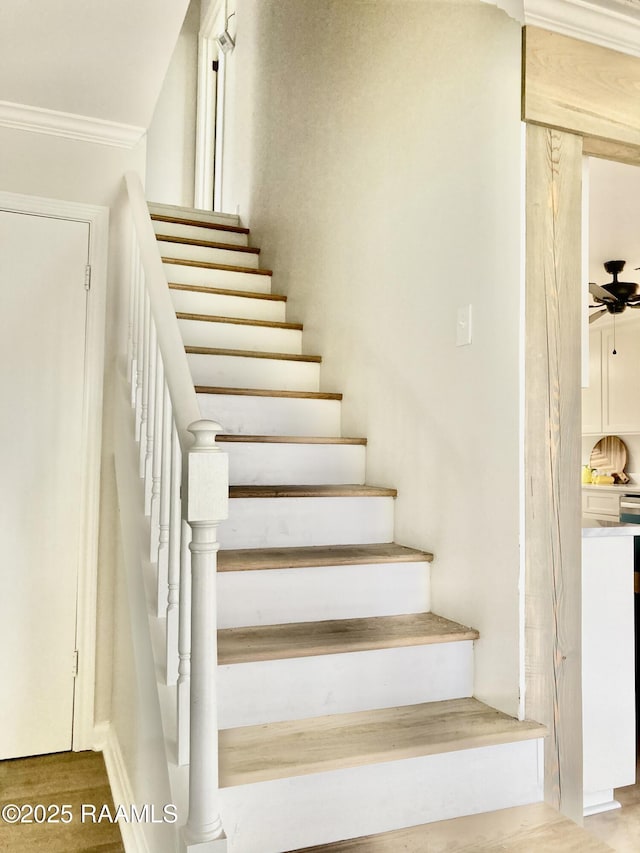 311 Fernway Ln, Duson, LA 70529 - staircase with ornamental molding, ceiling fan, and wood finished floors