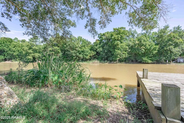 3440 Bayou Gerimond Rd, Port Barre, LA 70577 - photo 24