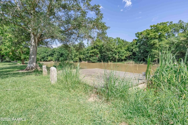3440 Bayou Gerimond Rd, Port Barre, LA 70577 - photo 25