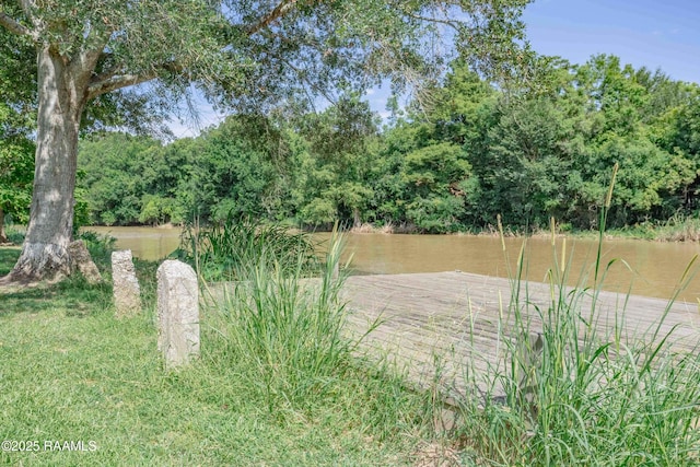 3440 Bayou Gerimond Rd, Port Barre, LA 70577 - photo 26