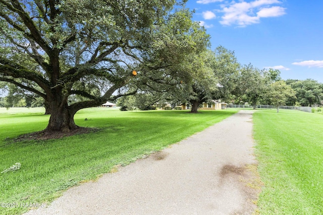 6031 Main Hwy, Saint Martinville, LA 70582 - photo 19