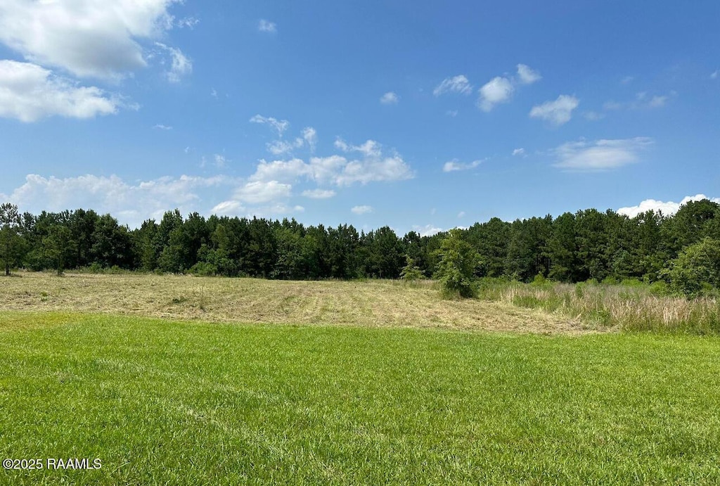 203 Bourbon Rd, Basile, LA 70515 - photo 1