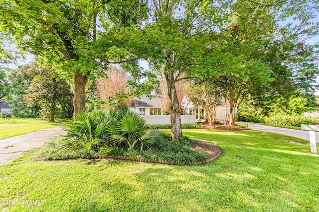 153 Acacia Dr, Lafayette, LA 70508 - photo 2