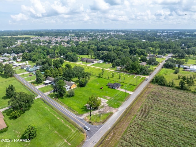 1153 Tolson Rd, Lafayette, LA 70508 - photo 3